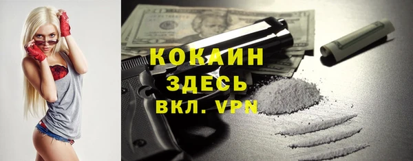 ПСИЛОЦИБИНОВЫЕ ГРИБЫ Коряжма