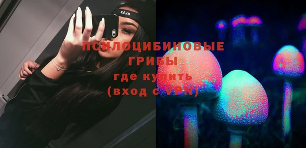 ПСИЛОЦИБИНОВЫЕ ГРИБЫ Коряжма