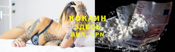 ПСИЛОЦИБИНОВЫЕ ГРИБЫ Коряжма