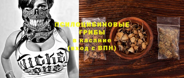 гашик Корсаков