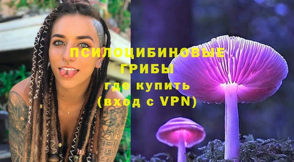 ПСИЛОЦИБИНОВЫЕ ГРИБЫ Костерёво