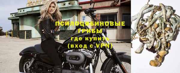 ПСИЛОЦИБИНОВЫЕ ГРИБЫ Коряжма