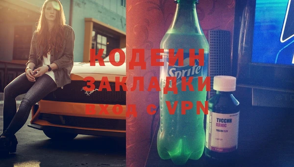 гашик Корсаков
