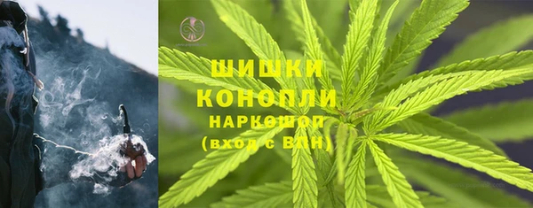 гашик Корсаков
