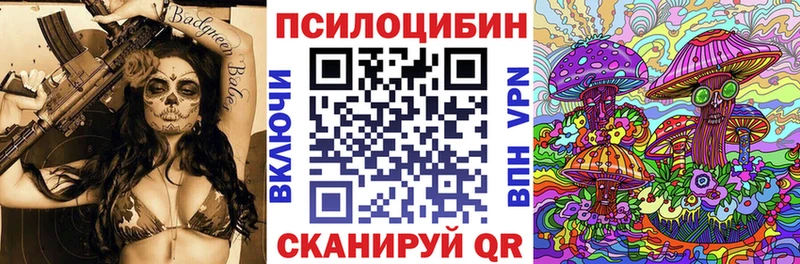 Галлюциногенные грибы Cubensis Элиста